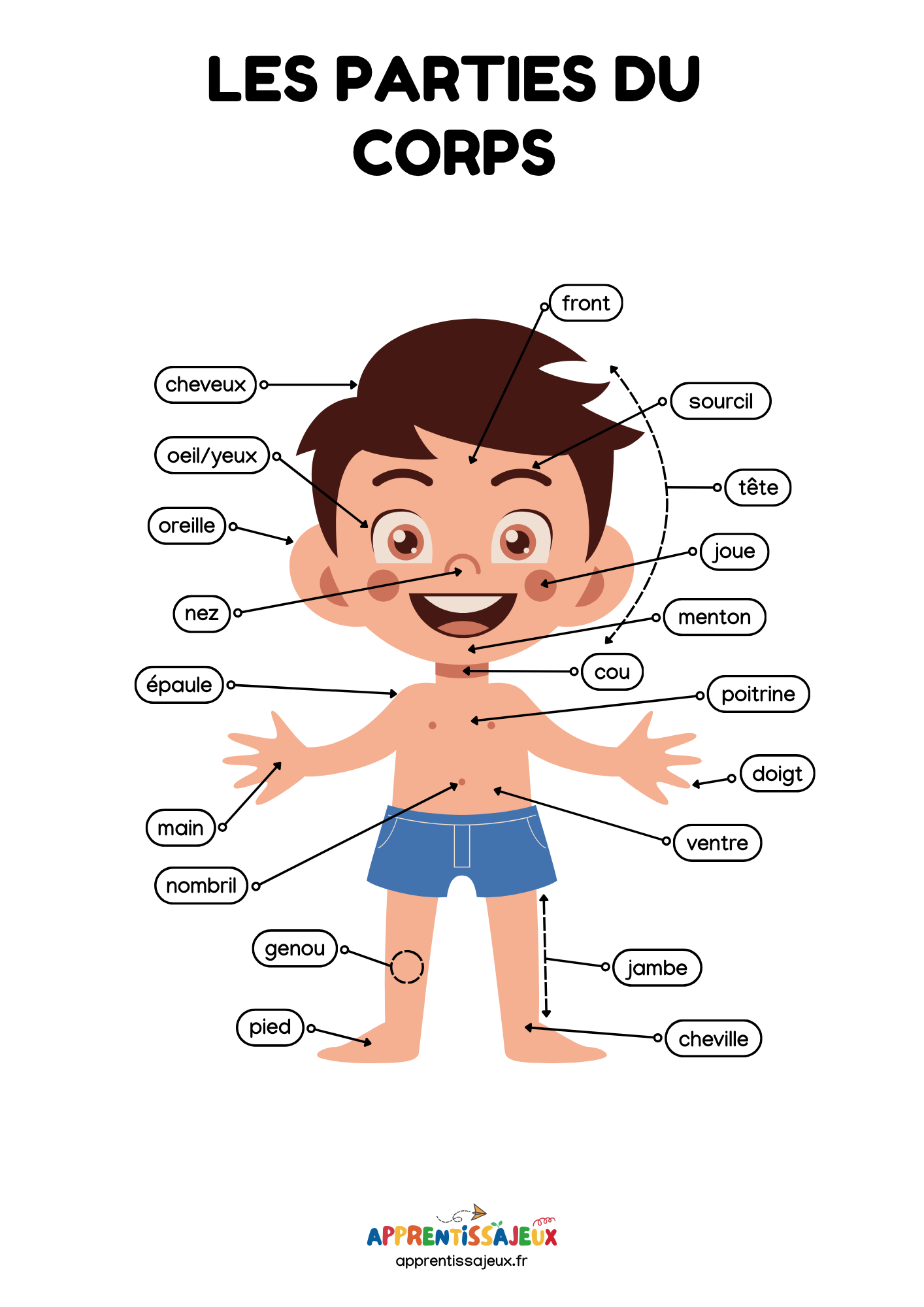 Illustration de Les parties du corps