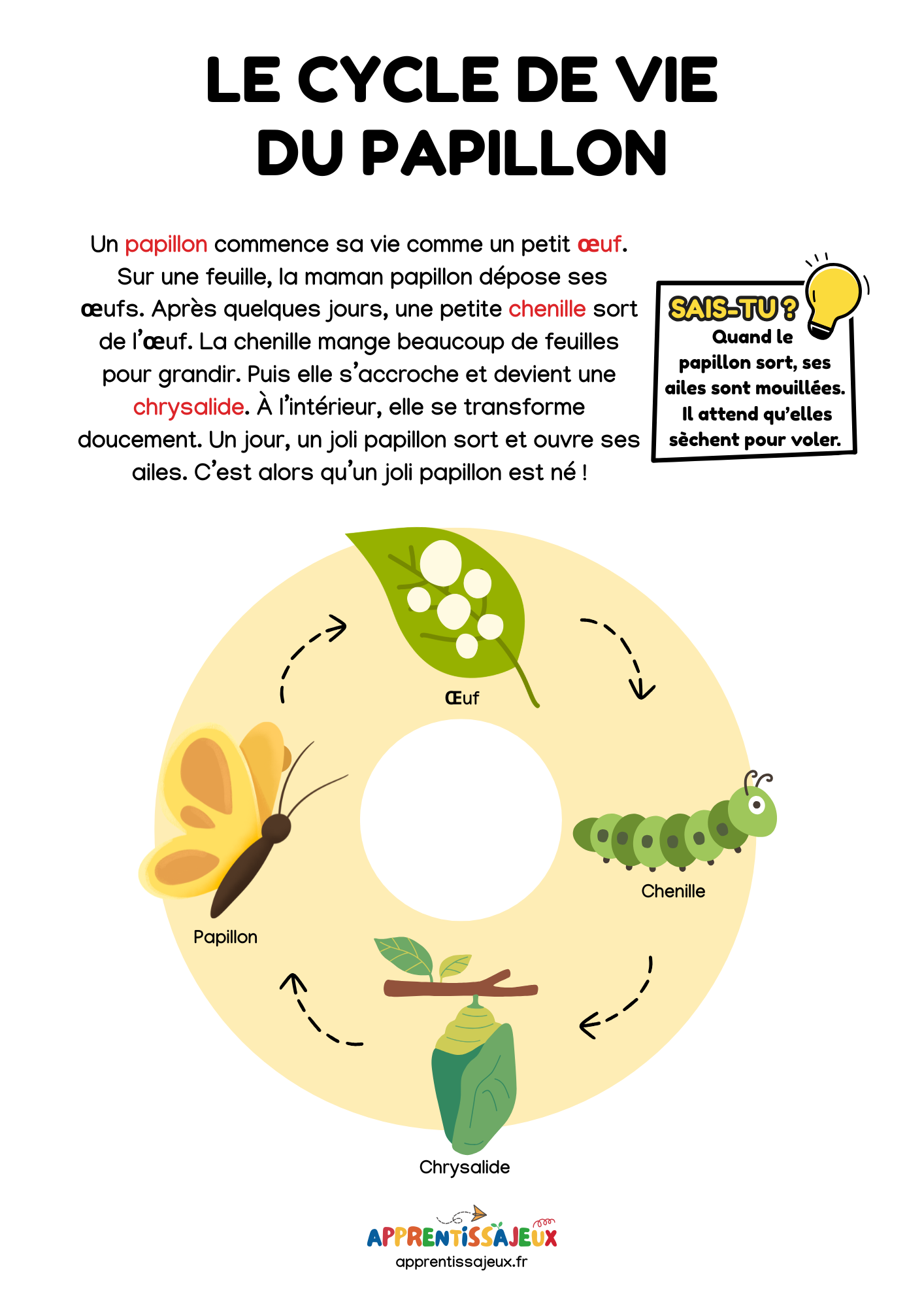 Illustration de Cycle de vie du papillon